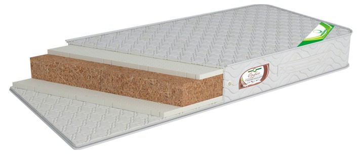 Орфей Латекс